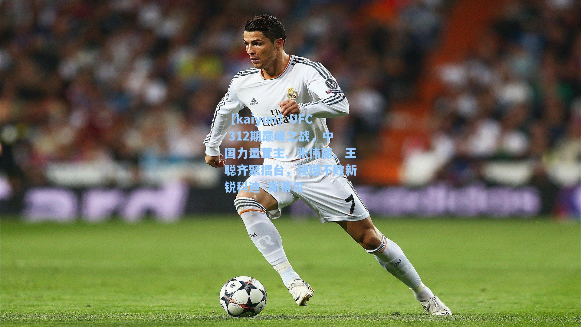 UFC 312期巅峰之战，中国力量茸主、张伟丽、王聪齐聚擂台，硬撼不败新锐科迪·斯蒂尔